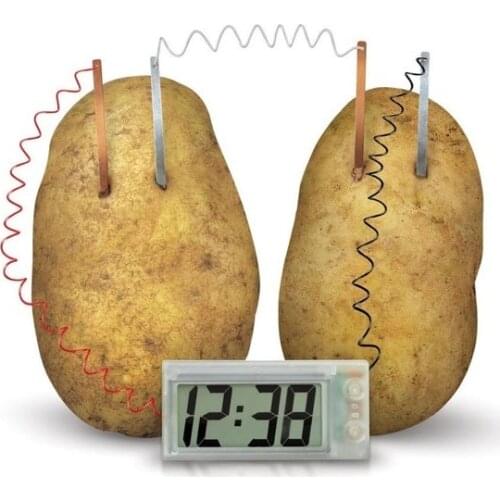 Potato Clock Novel Green Science Project Experiment Kit Lab Home School Toy funny educational DIY material for children kids