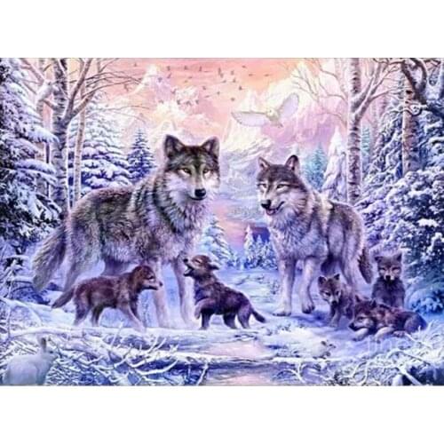Animal painting by numbers colorings pictures by numbers with diy wolf oil paint acrylic paint wall decoration