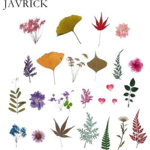 Mix Pressed Flower Leaves Plant Specimen Fillers for Epoxy Resin Craft Tool DIY Pendant Accessories Jewelry Making Tool