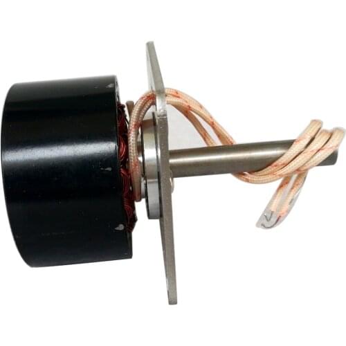 5039 Hydro/Wind Generator Brushelss Motor Micro Three Phase Permanent Magnet Generator Brushless Engine 200W 120V