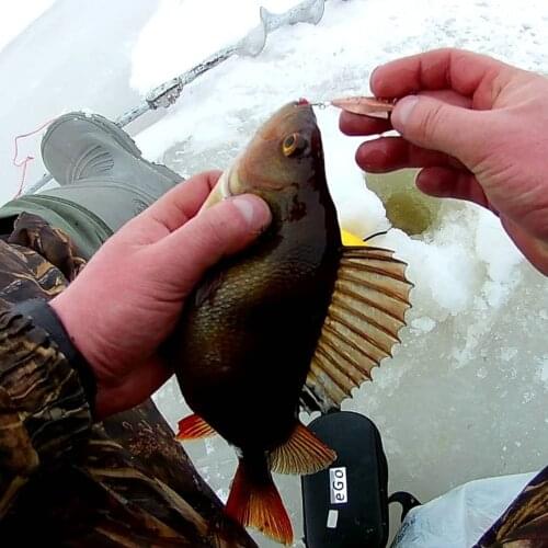 Аксессуары для рыбалки BaitAAN China At AliExpress