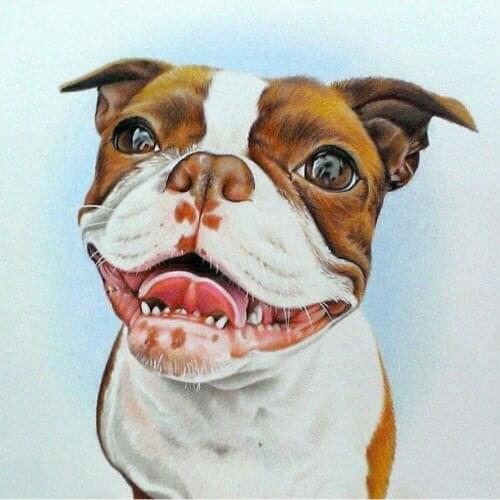 Cartoon American Bulldog Animal Diamond Painting Round Full Drill Nouveaute DIY Needlework Mosaic Embroidery 5D Cross Stitch