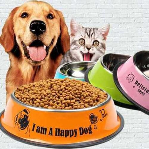 Dog bowl Stainless Steel Colorful cartoon bowl Feeding Food Pet Bowl Drop resistance Bite resistant For Dogs Feeder Pet supplies