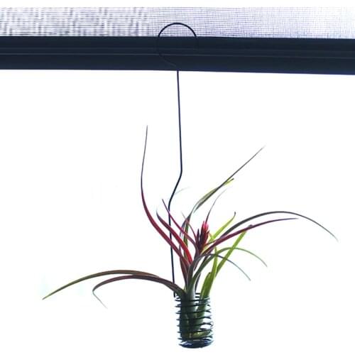 Flower Stand Mini Hanging Air Plant Pot Stand Container Holder Balcony Decor