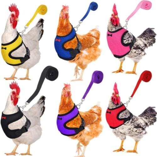 Adjustable chicken breast strap traction belt elastic and breathable pet breast strap suitable for walking ducks, geese and dogs