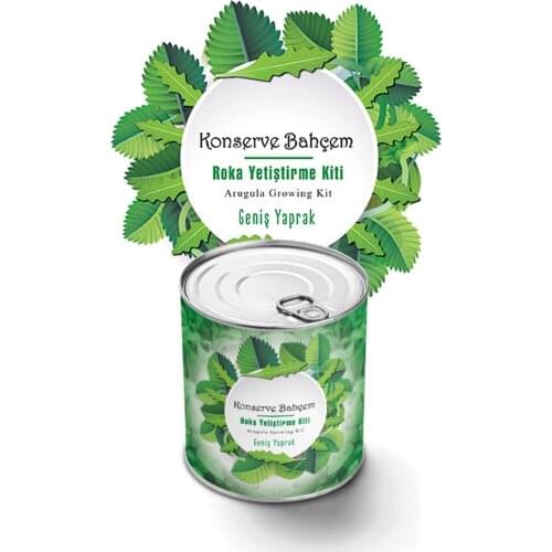 Canned Rocket Plant Growing Kit at Home - Start Gardening with Rocket Plant, Strawberries and More - Simple and Fast