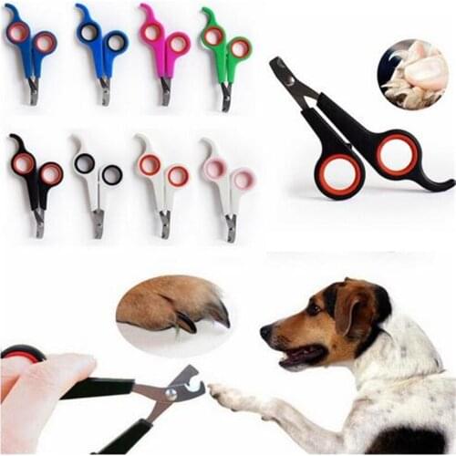 M DREAM B ZEG Dog Claw Scissors