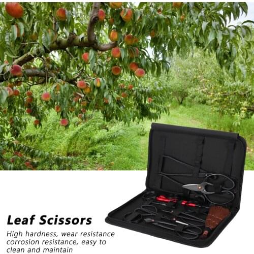 Шпалерные ножницы Fdit China At AliExpress