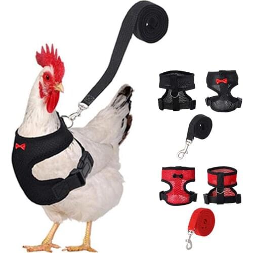 3.6ft Harness Leash Straps With Adjustable Chicken Harness Breathable Safety Small Pet Vest For Chicken Duck With Chest Strip