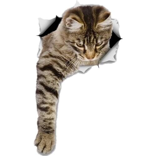 S30977# Self-adhesive Decal REACHING TABBY Car Sticker Motorcycle Laptop Waterproof Auto Decors on Bumper Rear Window