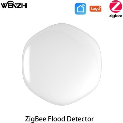 Wenzhi Home Control Systems