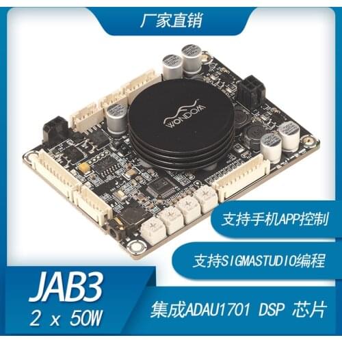 2 X 50W Class D Audio Power Amplifier with DSP Electronic Frequency Division Support Sigma Studio Programming