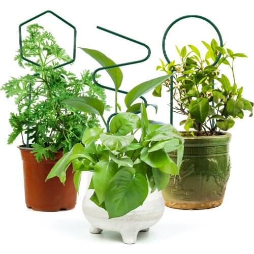 Flower Pot Gardening Frame Plant Suppor Metal Iron Wire Decorative 3PCS Potted Plants Holder Vine Rack