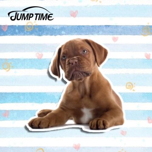 Jump Time 13cm x 12.5cm Dogue de Bordeaux Funny Car Stickers Decals Motor Laptop Car Accessories Animal Stickers Decorative