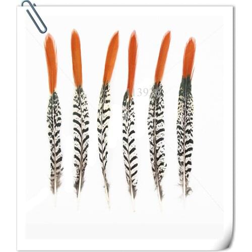 Free shipping 100Pcs/lot 8-10 inch natural Pheasant Feather Red Tip Lady Amherst for Costumes/indian feathers headdress