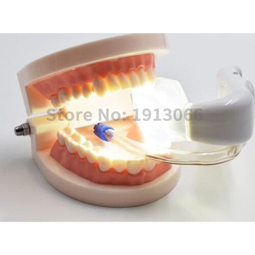 Dentistry equipment light illuminator unlimited Oral Dental Materials and Equipment oral lamp light