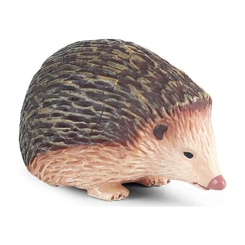 Little Hedgehog Animal Figure Collectible Toys Wild Animal Cognition Action Figures Kids Plastic Model Toys