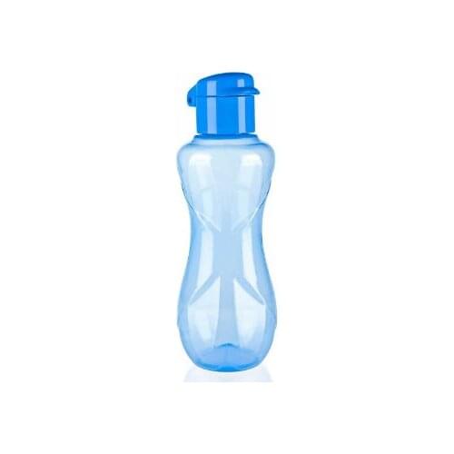 Water Fresh Water Bowl Flask Bottle 500 ML