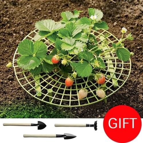 Strawberry Stand Frame Holder 3-20pcs Balcony Planting Rack Flower Growing Circle Support Rack With Tools For Orchard and Garden
