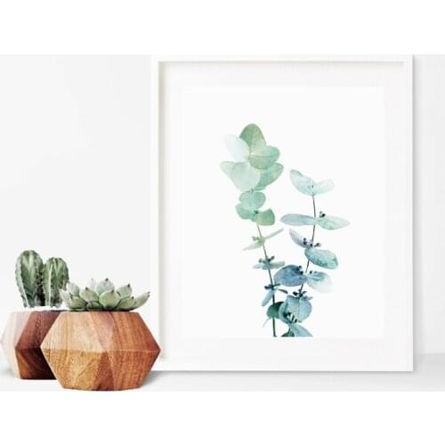 Australian Eucalyptus Leaf Poster Print , Modern Botanical Plant Photography Wall Art Canvas Painting Picture Home Wall Decor