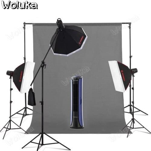 Photography light set 400w plus 250W studio flash soft box photo portrait photography equipment CD50 T08