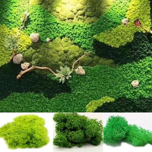 One year Artificial Grass