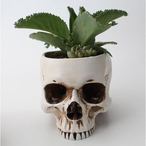 Skull Head Ornament Skeleton Pen Holder Desktop Pencil Organizer Makeup Storage