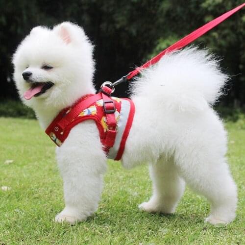 Cartoon Dog Harness Small Dogs Supplies Pomeranian Accessories Mesh Puppy Lead Leash Adjustable Pet Harness Vests