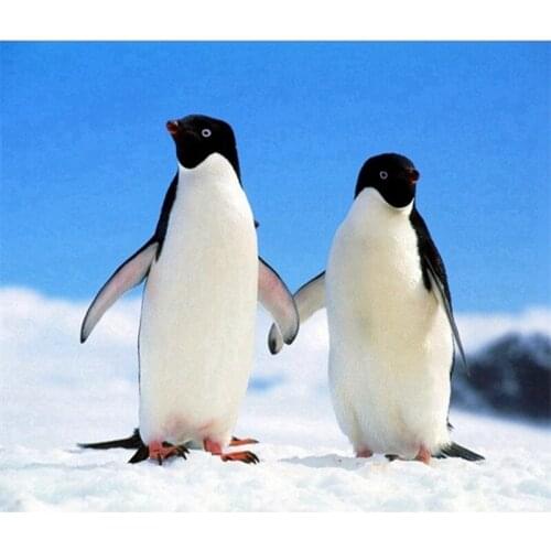 Diy 5D Diamond Painting Penguin Snow 3D Cross Stitch Diamond Embroidery Mosaic Diamonds Wall Stickers Home Decor Gifts