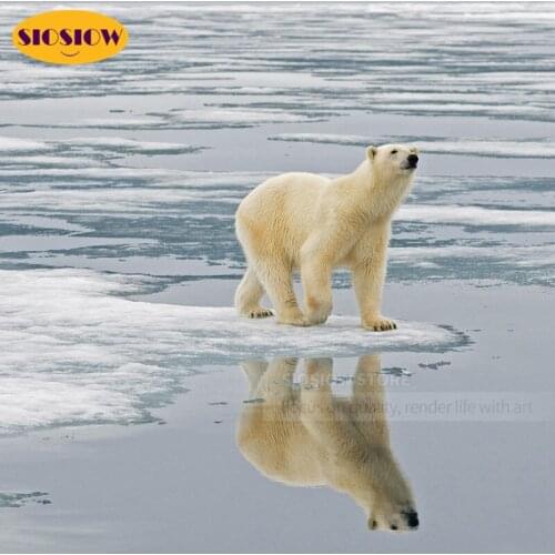 5d Diy Diamond Painting Polar Bear Full Set Round Square Diamond Embroidery Icons Cross Stitch Kit White Bears Decor Home Nordic