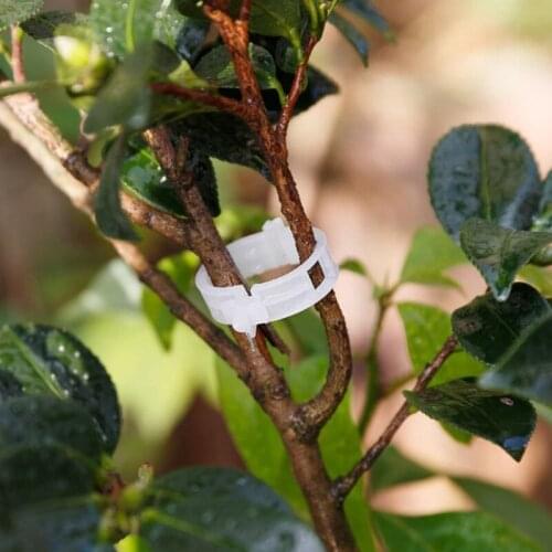 50/100/200 Pcs Plastic Plant Support Clips for Tomato Hanging Trellis Vine Connects Plants Greenhouse Vegetables Garden Ornament