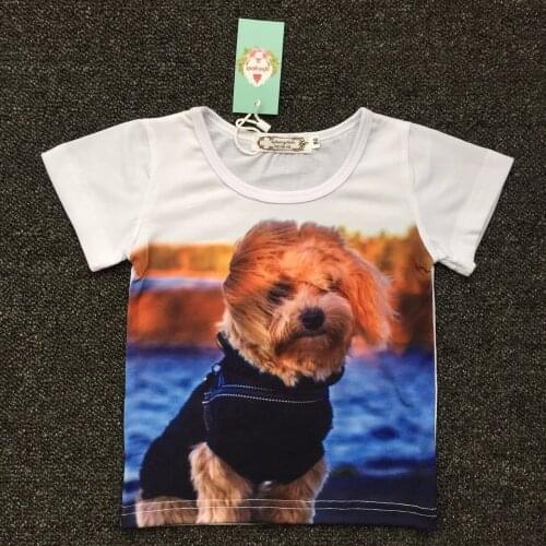 Afairytale Short Sleeve T-shirts For Girls