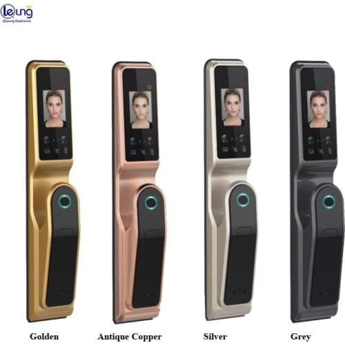 Intelligent Face ID Palmprint Mobile Phone Remote Control Wifi Lock Password Key Card Fingerprint Digital Smart Door Lock