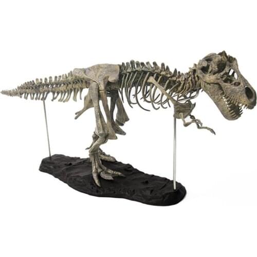 T Rex Tyrannosaurus Rex Skeleton Dinosaur Toy Animal Model Collector Super Decor