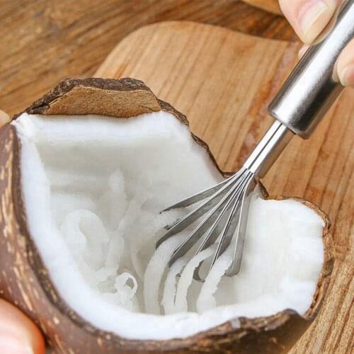 Coconut Fruit Scale Planer Stainless Steel Coconut Planer Fruit Peelers Grater Fish Scale Planer Scale Peeler Kitchen Fruit Tool