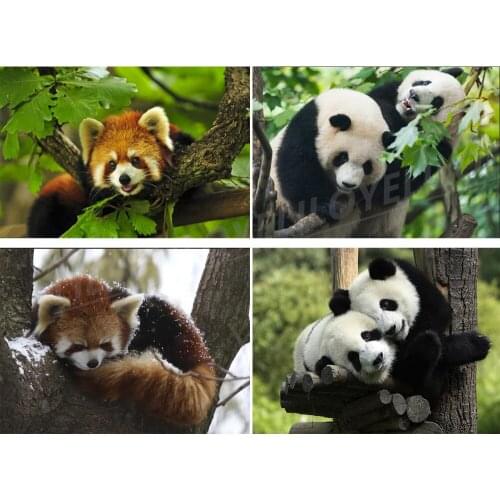 5D DIY Diamond Painting Full Square /Round Drill "panda" Diamond Painting 5D Embroidery Cross Stitch gift Home Hecoration FG1525