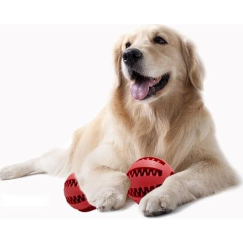 Extra-tough Rubber Pet Dog Toys Dumbbell Shape Pet Sofa Toy Funny Interactive Dog Chew Toys For Dog Tooth Clean Ball Of Food