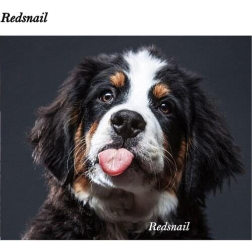 DIY 5D Full Square Round Diamond Painting Cross Stitch Kits Puppy Bernese Mountain Dog Diamond Mosaic Diamond Embroidery EE279