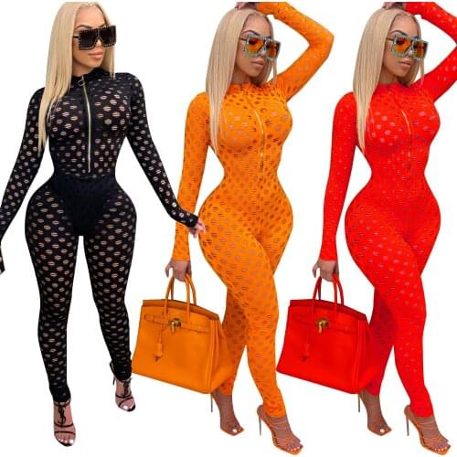 Sexy Lady Fishnet Hollow Out See Through Club Party Skinny Jumpsuit Women Turtleneck Long Sleeve Plaid Hole Romper Outfit