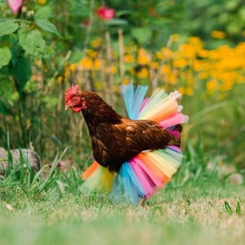 Chicken Costume Skirt Tutu Coop Hen Decorations Halloween Cosplay Dress Props QW