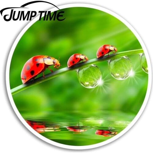 Jump Time Cute Ladybirds Vinyl Stickers Bug Garden Sticker Laptop Luggage Car Assessoires Window Decals Car Wrap DIY