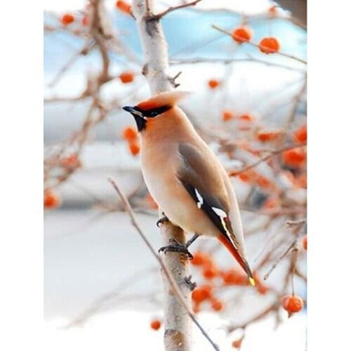 GLymg Diamond Embroidery Bird Woods Diamond Painting Cross Stitch Home Decor Mosaic Rhinestone Gift Square Full Drill Picture