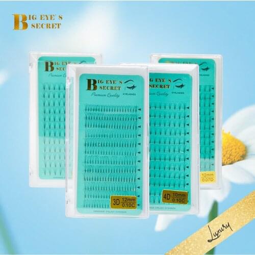Big eyes secret Luxury Lashes short stem premade volume fans pre-fanned Eyelash Extensions for salon Eyelash Extension