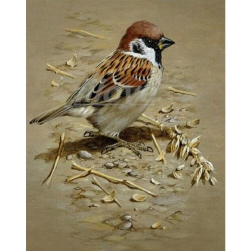 5D DIY Diamond Painting Full Square/Round 3D Diamond Embroidery Kingfisher Sparrow Pictures Mosaic Kit Wall Art Decoration CV559