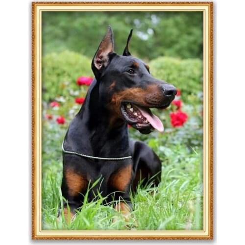 Animal Dog Doberman DIY Cross Stitch Embroidery 11CT Kits Needlework Craft Set Printed Canvas Cotton Thread Home Decoration Room