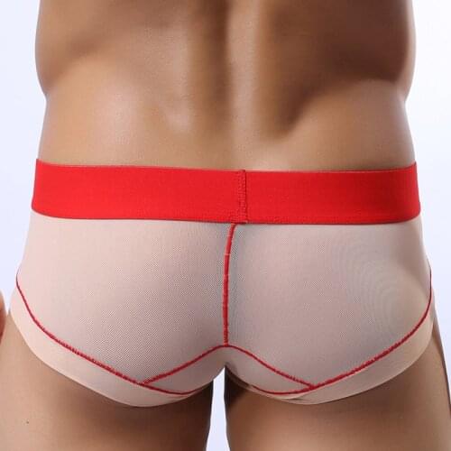 Mens Underwear Briefs Sexy Transparent Mesh Thin Section Mens Panties Gay Underpants Youth Low-waist U-convex Bikini Jockstrap