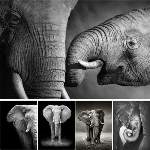 5D Full Diamond Embroidery Black And White Animals Cross Stitch Diamond Painting Animal Elephant Mosaic Handmade Decor Gift