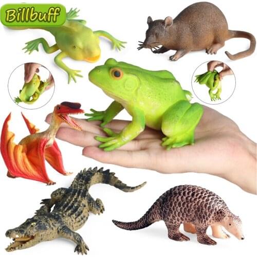 NEW Simulation Animal insect Model Crocodile Frog Pangolin Mouse Tadpole Dinosaur Action Figures toy ​for children Christma Gift