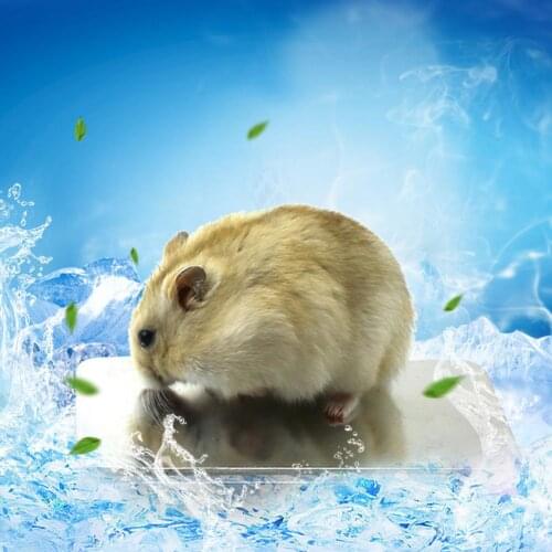 Small Pet Cool Ice Pad Bed Pet Hamsters Radiating Plate Cooling Sleeping Cooling Mat Heat Dissipation Plate 2 Sizes