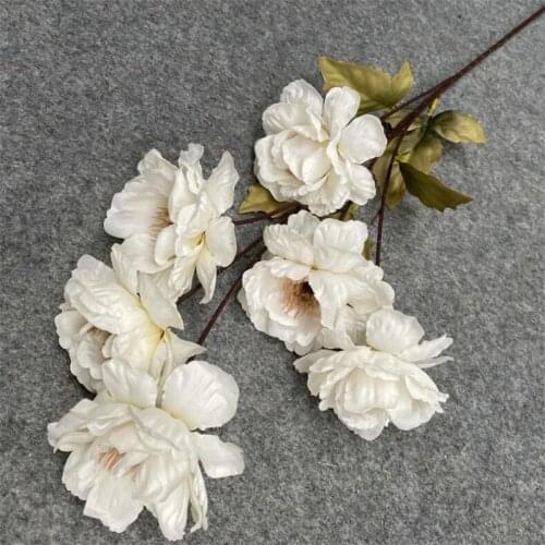 One Long Stem 6 Heads Silk Peony Flower Branch Artificial Common Peony for Wedding Centerpieces Home Floral Decoration